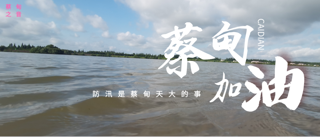 蔡甸區(qū)啟動防汛ⅰ級應(yīng)急響應(yīng)，做好鋪土釘防汛木樁工作