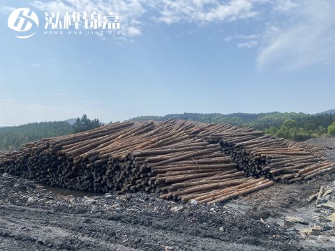 河道打樁為什么選擇松木樁來處理軟地基？-松木樁施工使用范圍