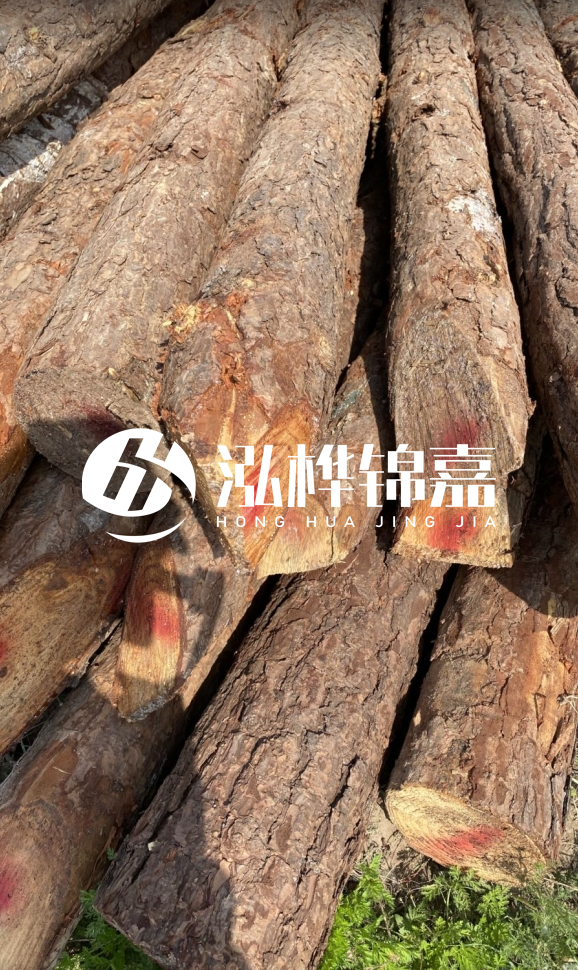 <strong>松木樁和杉木樁的用途區(qū)別？哪個(gè)更適合打樁用？</strong>