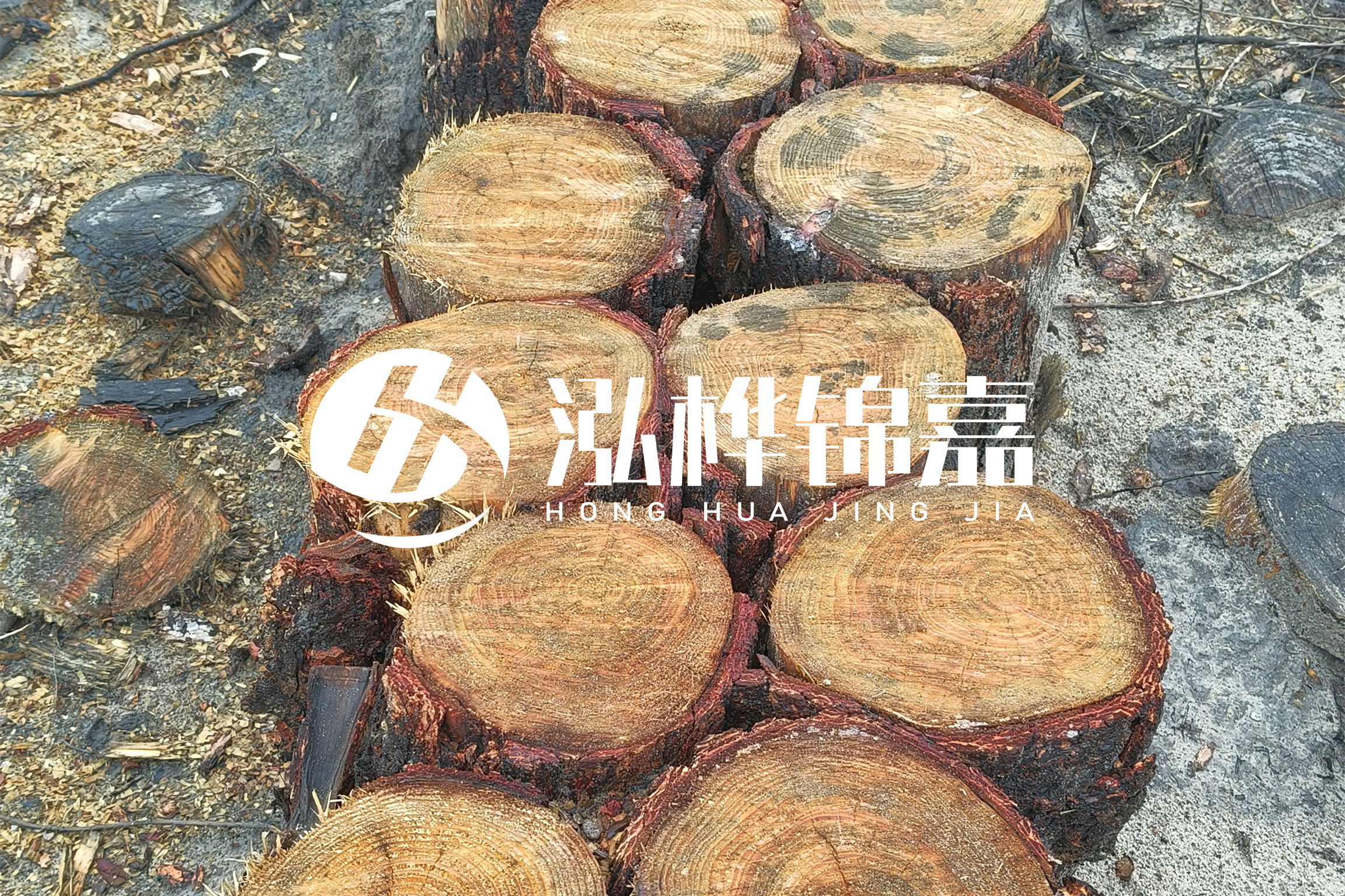 浙江臺州有清淤的公司嗎？浙江臺州有清淤施工隊(duì)嗎？