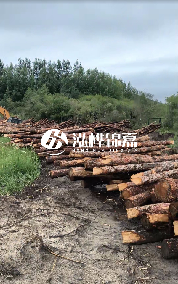 甘肅河道清淤工程公司-為什么要進行河道清淤？
