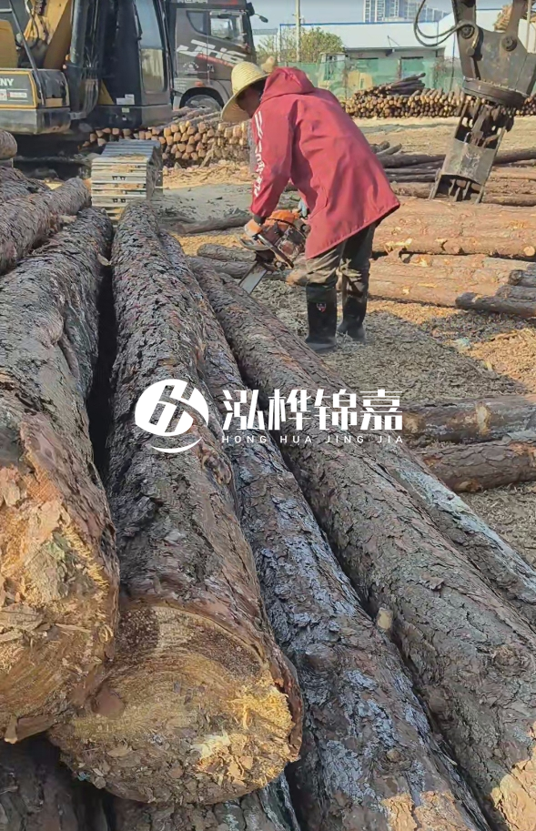 長沙打樁木批發(fā)廠家在哪里？聯(lián)系方式是什么？