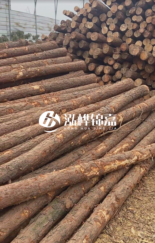 山西河道木樁護(hù)岸價(jià)格多少錢一米-每米河道打樁要花多少錢？