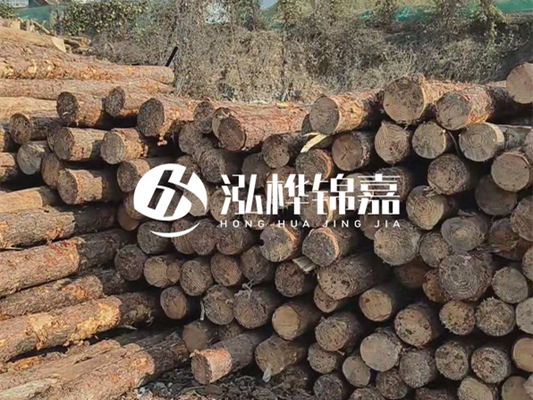 落葉松木材的主要產(chǎn)地在哪里？為什么比其他松木更耐腐蝕？