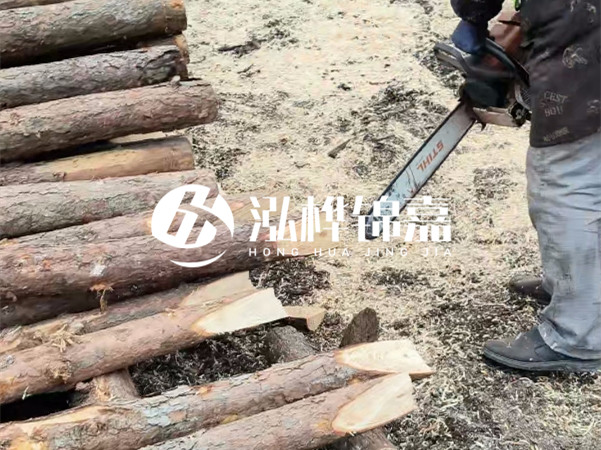 杉木樁批發(fā)廠家哪家好？產(chǎn)地直供渠道推薦！