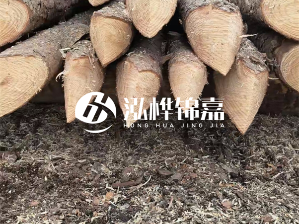 打樁木樁與鋼樁相比有哪些優(yōu)缺點？如何進行后期維護？
