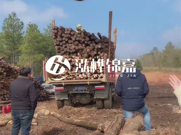 松木樁價(jià)格是按米算還是按根算？6米松木樁批發(fā)價(jià)每根多少錢？