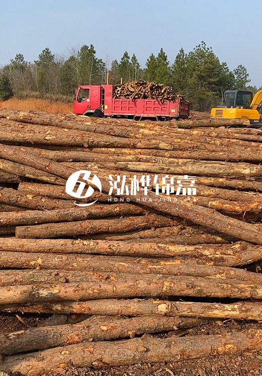 8米小頭11-13CM的松木樁價格是多少？打樁施工怎么算？