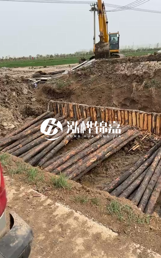 4米直徑12-13油松批發(fā)價最低多少？報價含稅含運嗎？