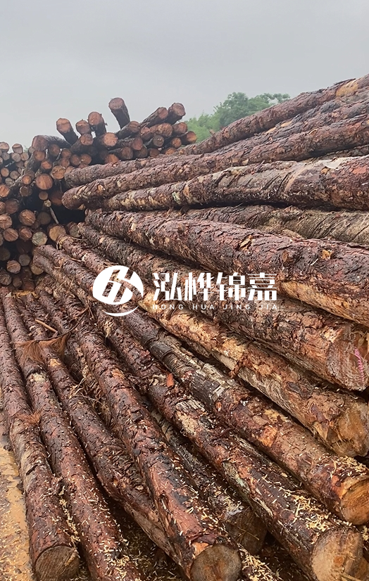 購(gòu)買(mǎi)松木樁注意事項(xiàng)有哪些-不同直徑松木樁區(qū)別有哪些？