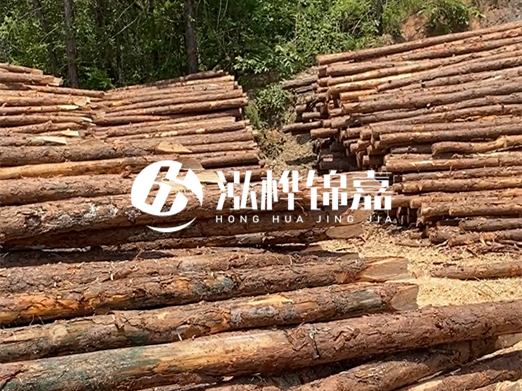松木樁的運(yùn)輸費(fèi)用是否包含卸車(chē)費(fèi)？卸貨時(shí)需要注意哪些安全問(wèn)題？