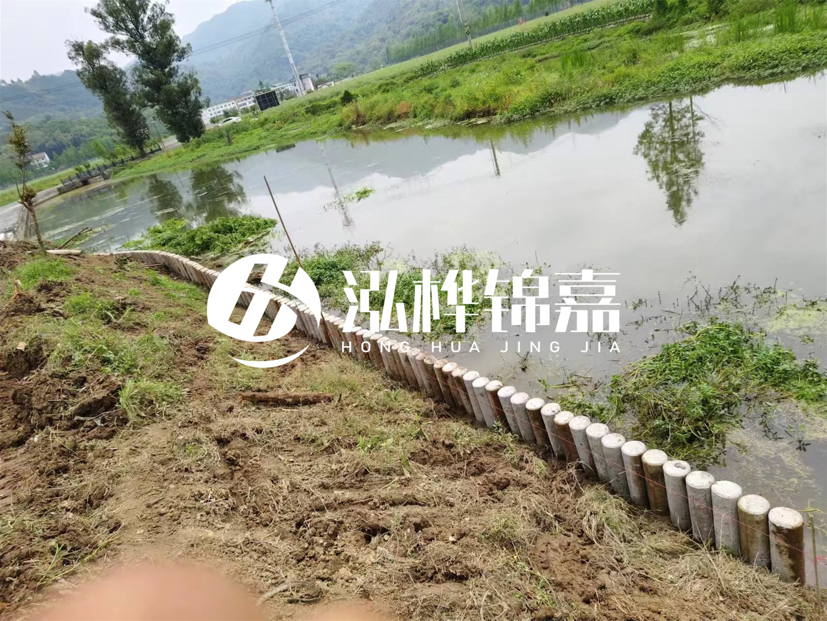松木樁加固河道與水泥樁對比如何？哪一種更加適合您？