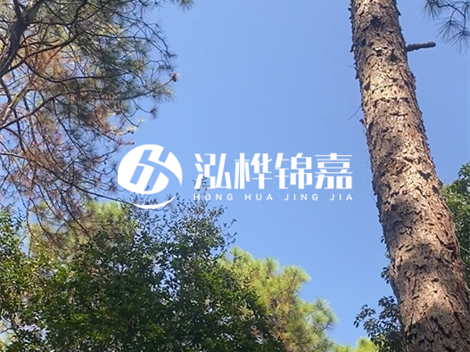 松木樁廠家的供貨能力強不強-怎么才能聯(lián)系到松木樁廠家？