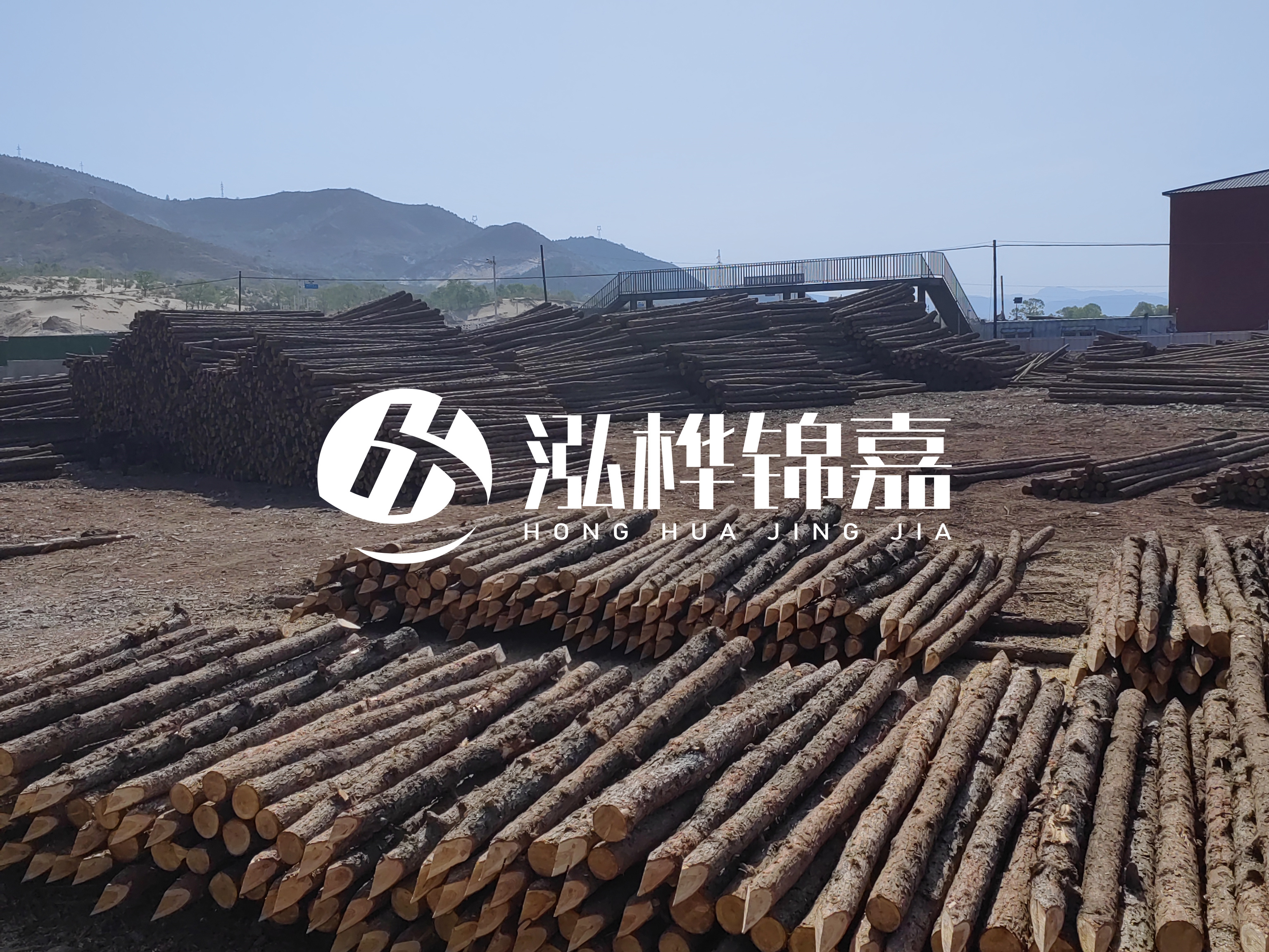 江蘇打樁木源頭廠家泓樺錦嘉-4米打樁木大頭14-16小頭一般多少？