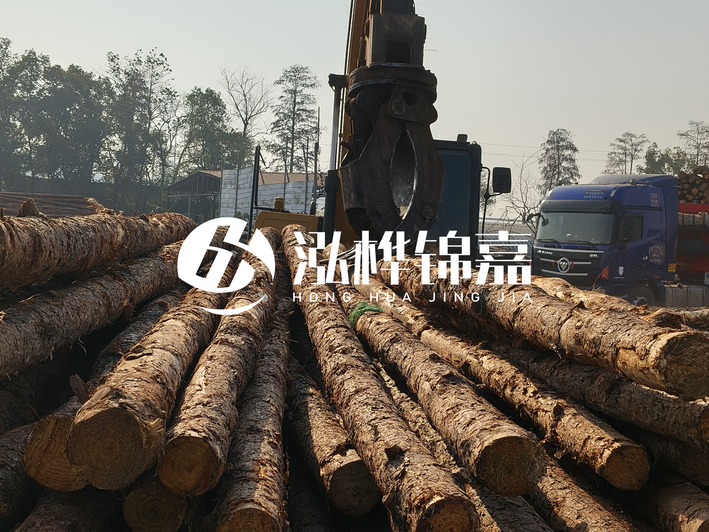 松木樁可以用來做什么？常用于哪些工程？