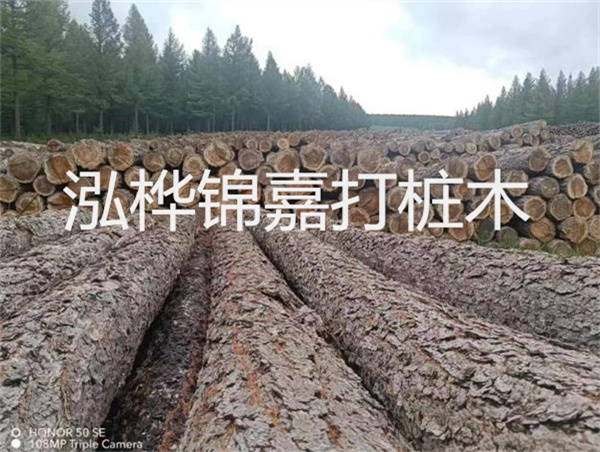 高效施工，圓松木樁助力建筑工程進(jìn)展順利