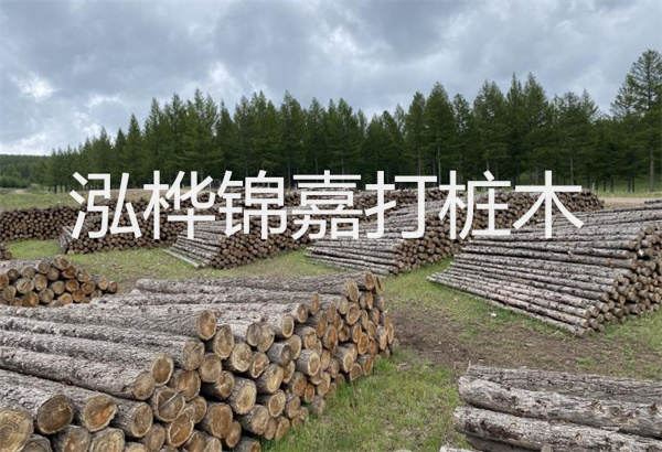 預(yù)制松木樁施工工藝：優(yōu)質(zhì)材料，高效快速，堅固耐用