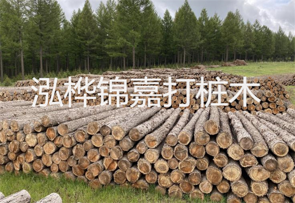 松木樁能施工嗎？探究視頻揭秘真相！