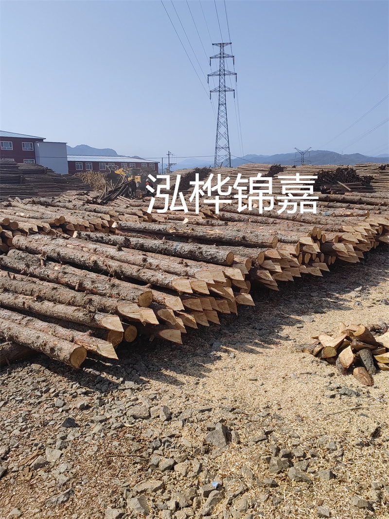深入了解松木樁基礎(chǔ)施工單價(jià)，助力工程建設(shè)順利進(jìn)行！