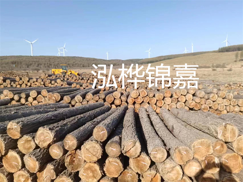 溫州松木樁施工廠家——為您打造堅固穩(wěn)定的建筑基礎(chǔ)！