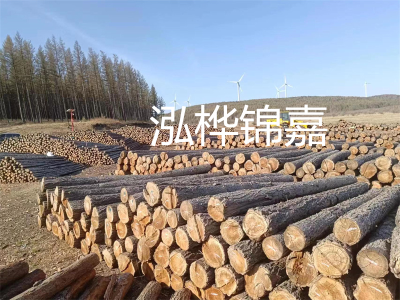 用路基松木樁施工方案提升工程質(zhì)量描述：了解路基松木樁施工方案的重要性，提高工程質(zhì)量關(guān)鍵詞：路基松木樁，施工方案，工程質(zhì)量